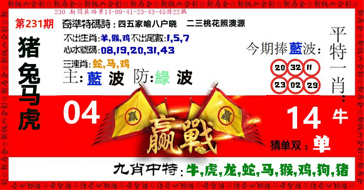 赢站 第231期