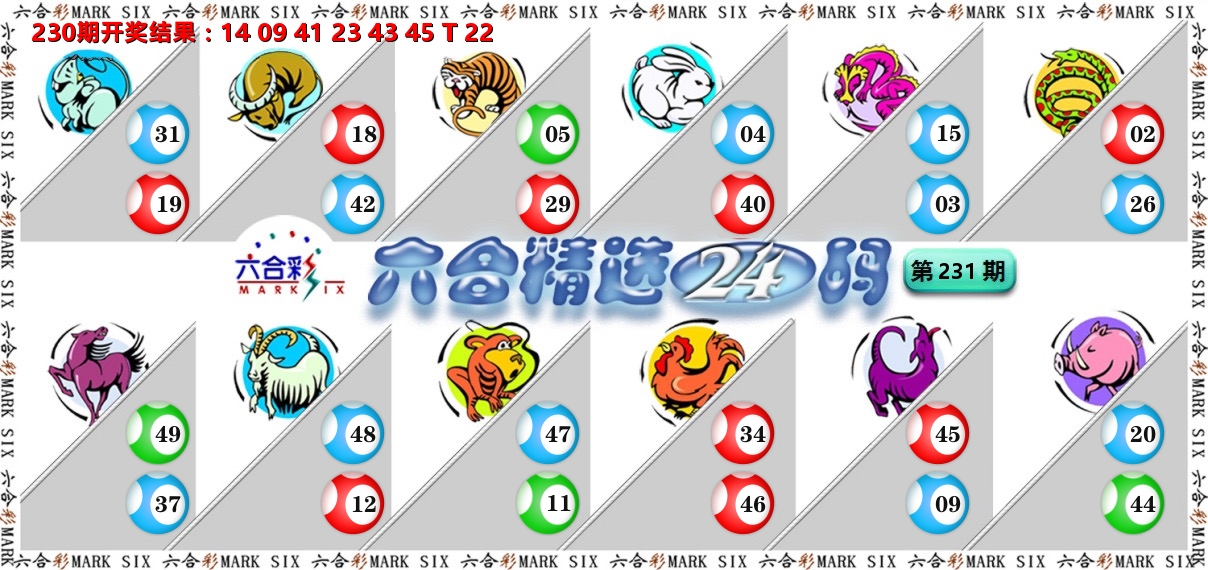 六合精选24码 第231期