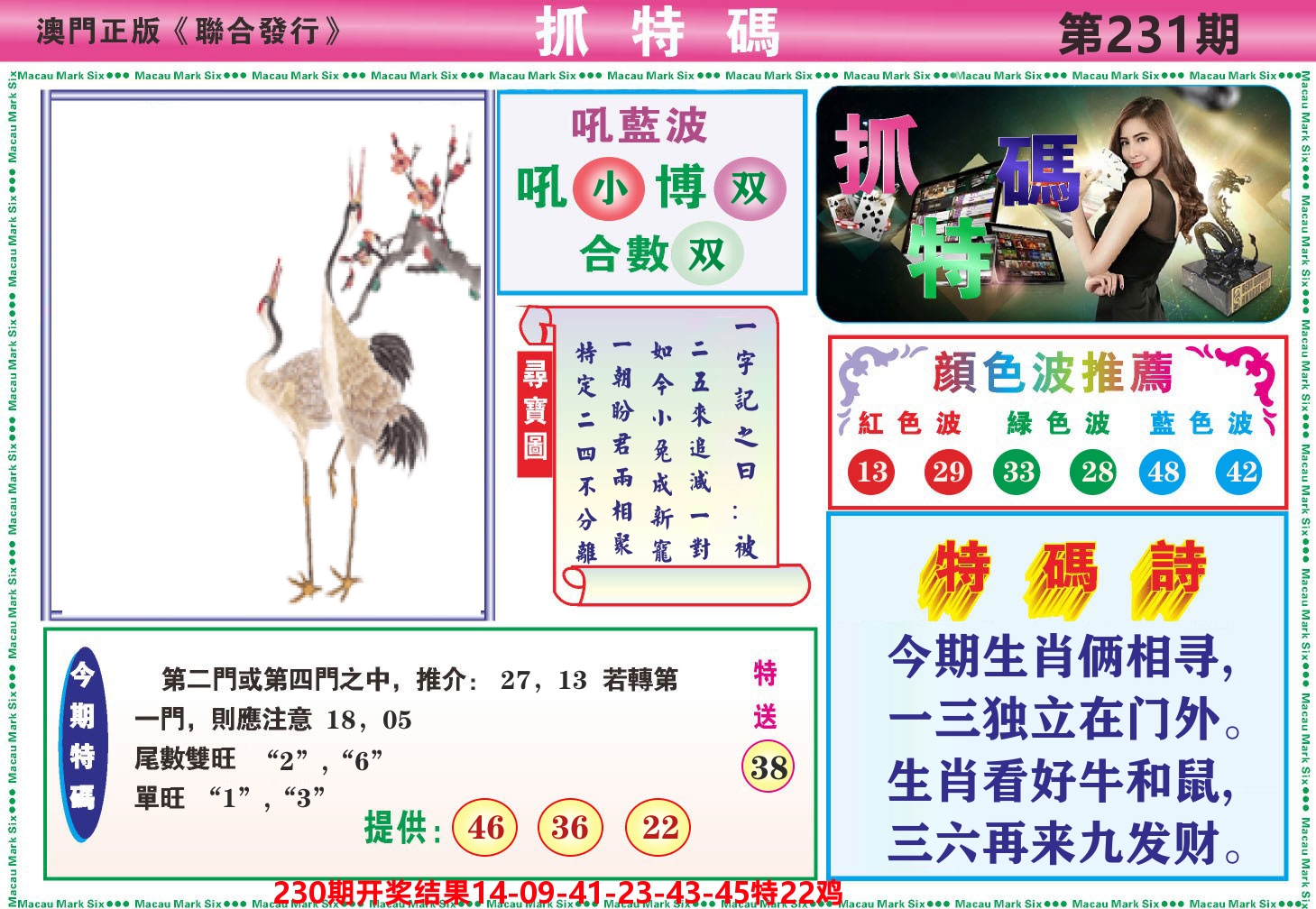 澳门抓特码A 第231期