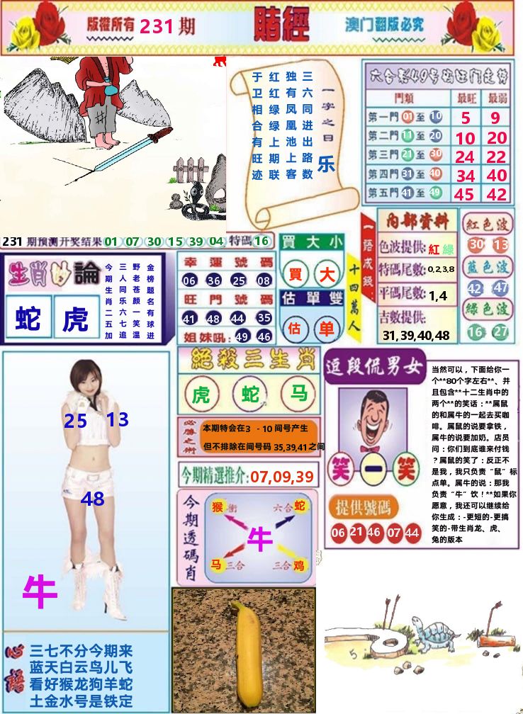 澳门赌经 第231期