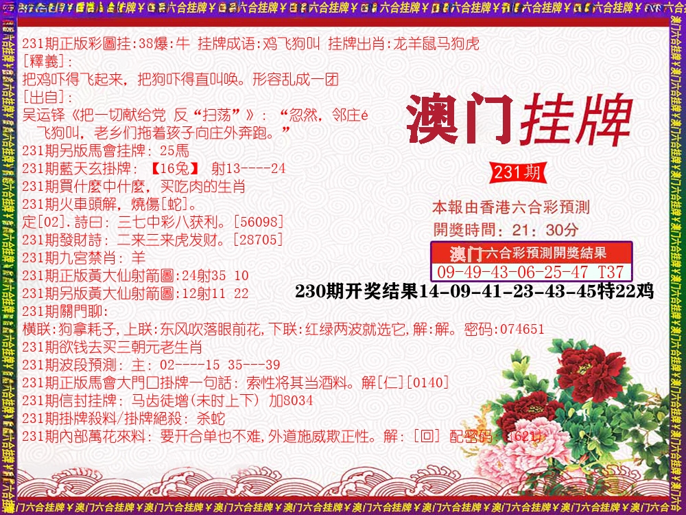 澳门挂牌 第231期