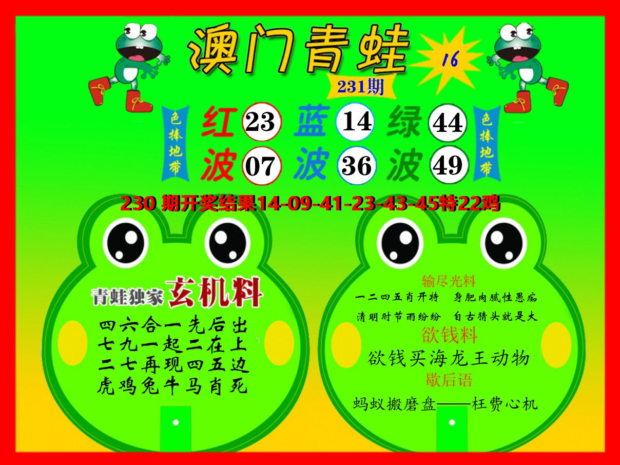 青蛙系列16 第231期