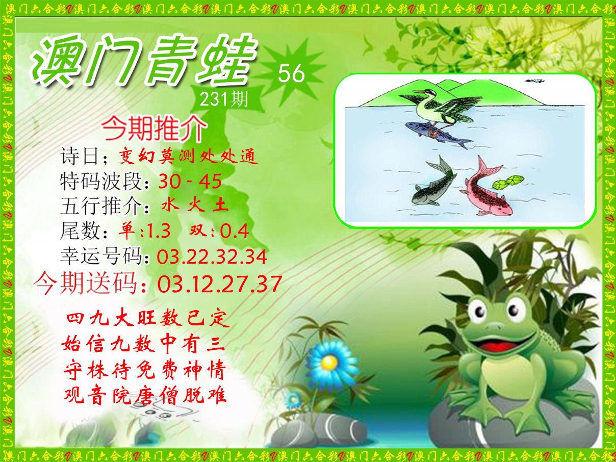 青蛙系列56 第231期