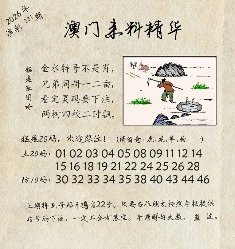 精华来料 第231期
