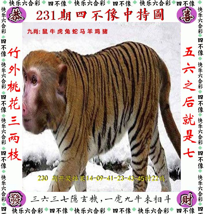 四不像 第231期