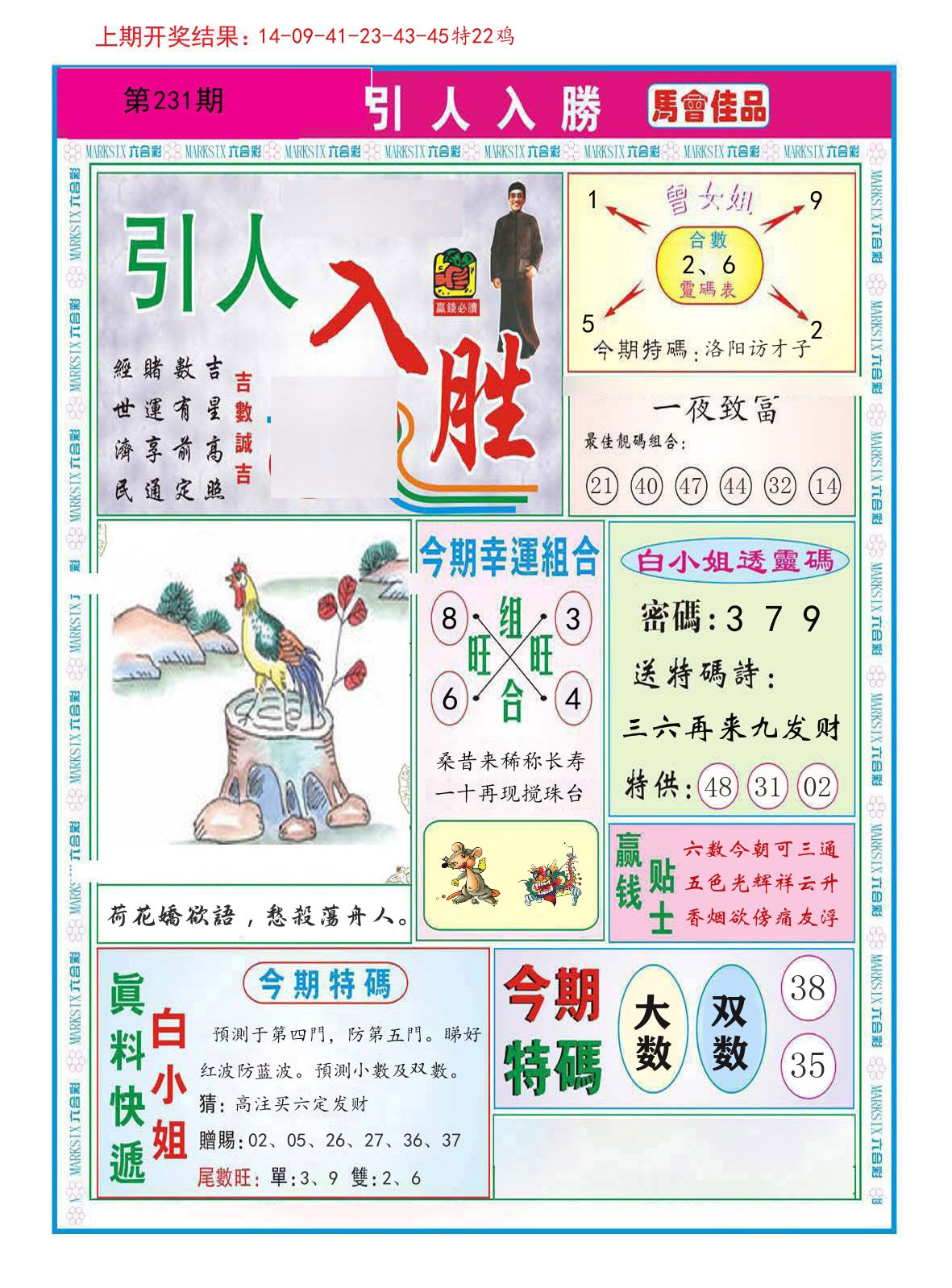 引人入胜 第231期