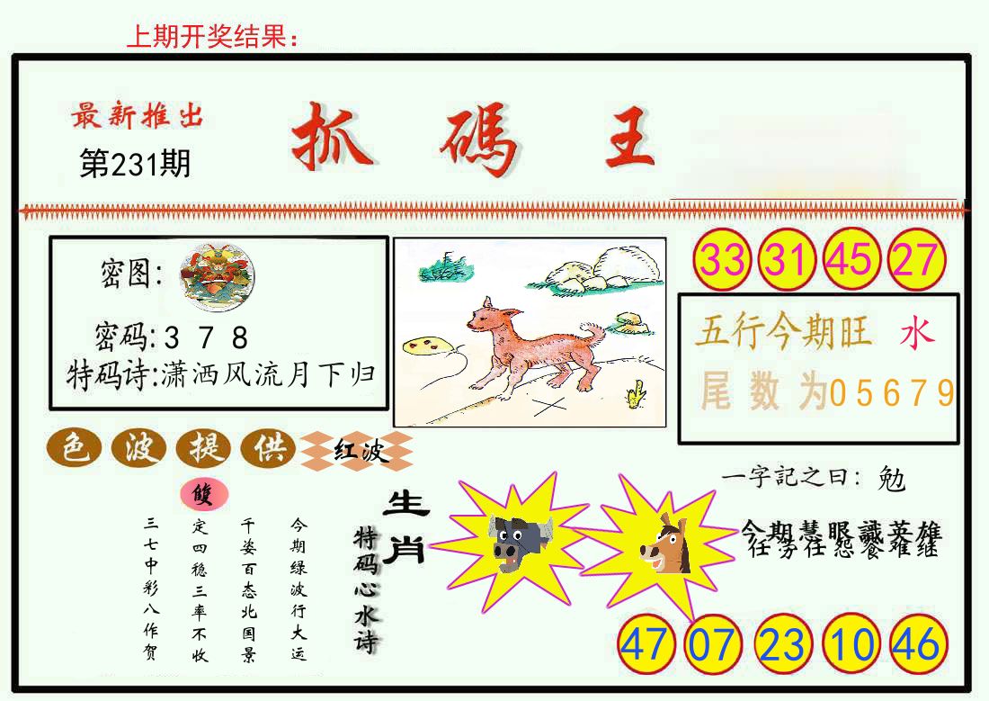最新抓码王 第231期