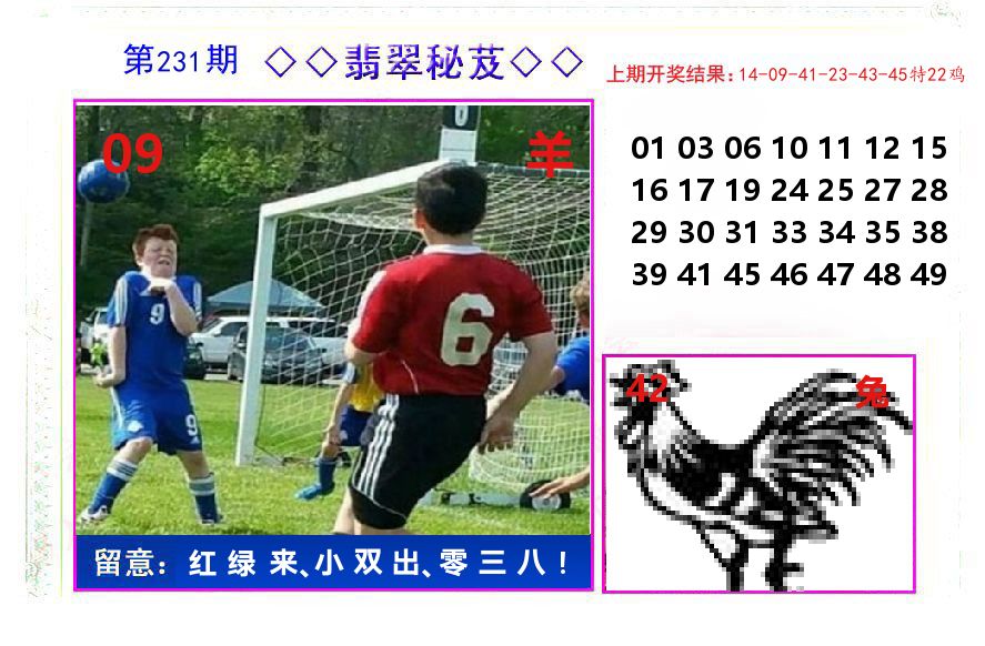 翡翠秘芨 第231期