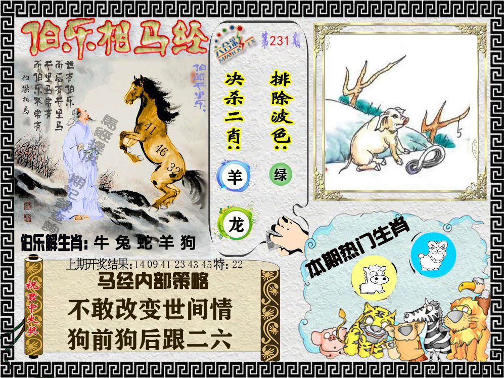 伯乐相马经 第231期