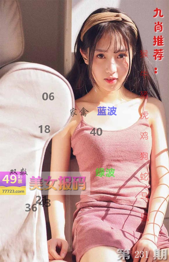 美女报码 第231期