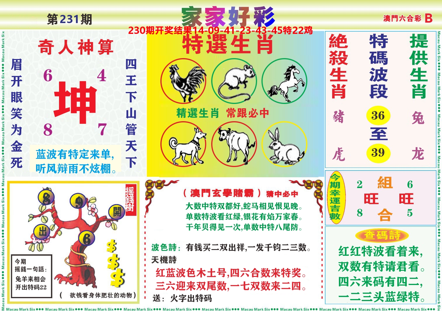 家家好彩B 第231期