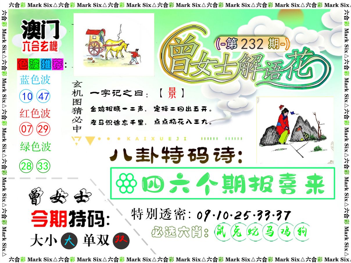 曾女士解语花 第232期