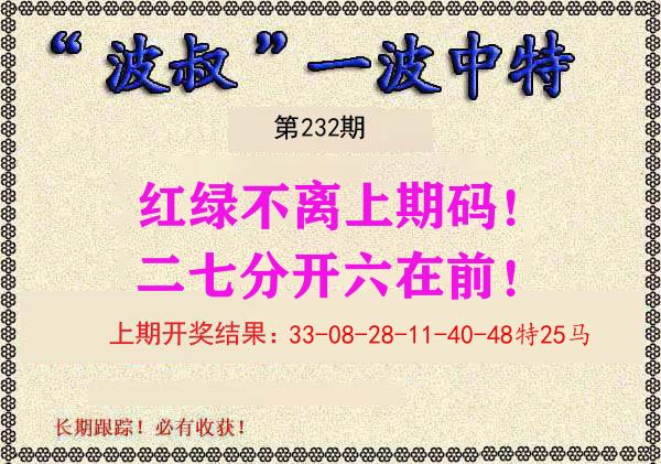 波叔中特 第232期