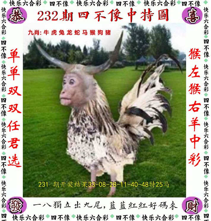 四不像 第232期