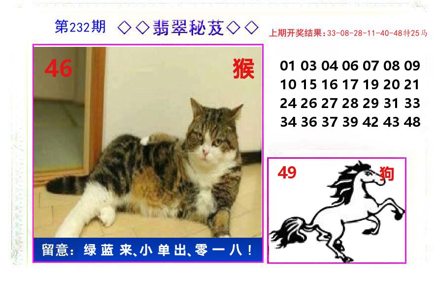 翡翠秘芨 第232期