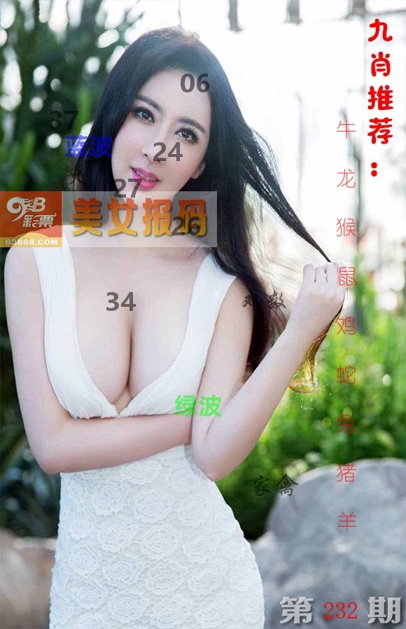 美女报码 第232期