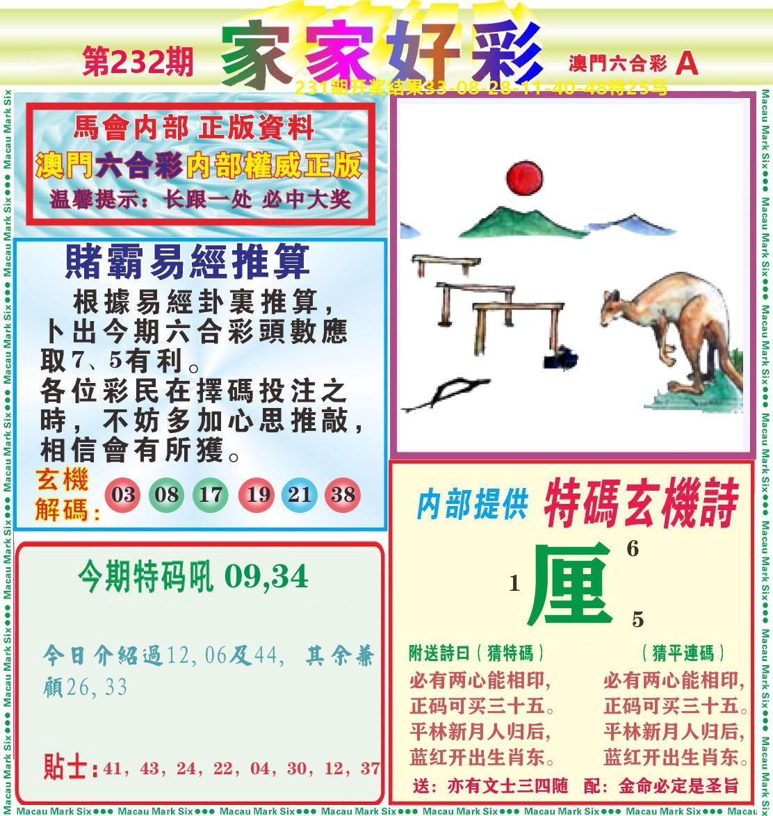 家家好彩A 第232期