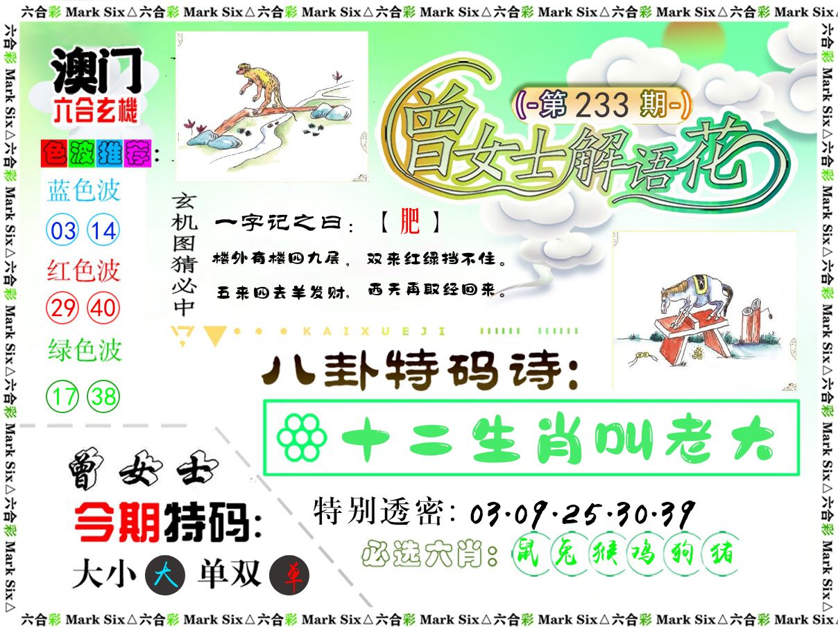 曾女士解语花 第233期