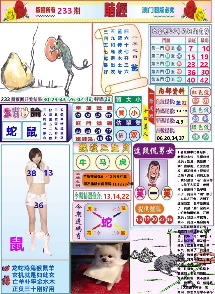 澳门赌经 第233期