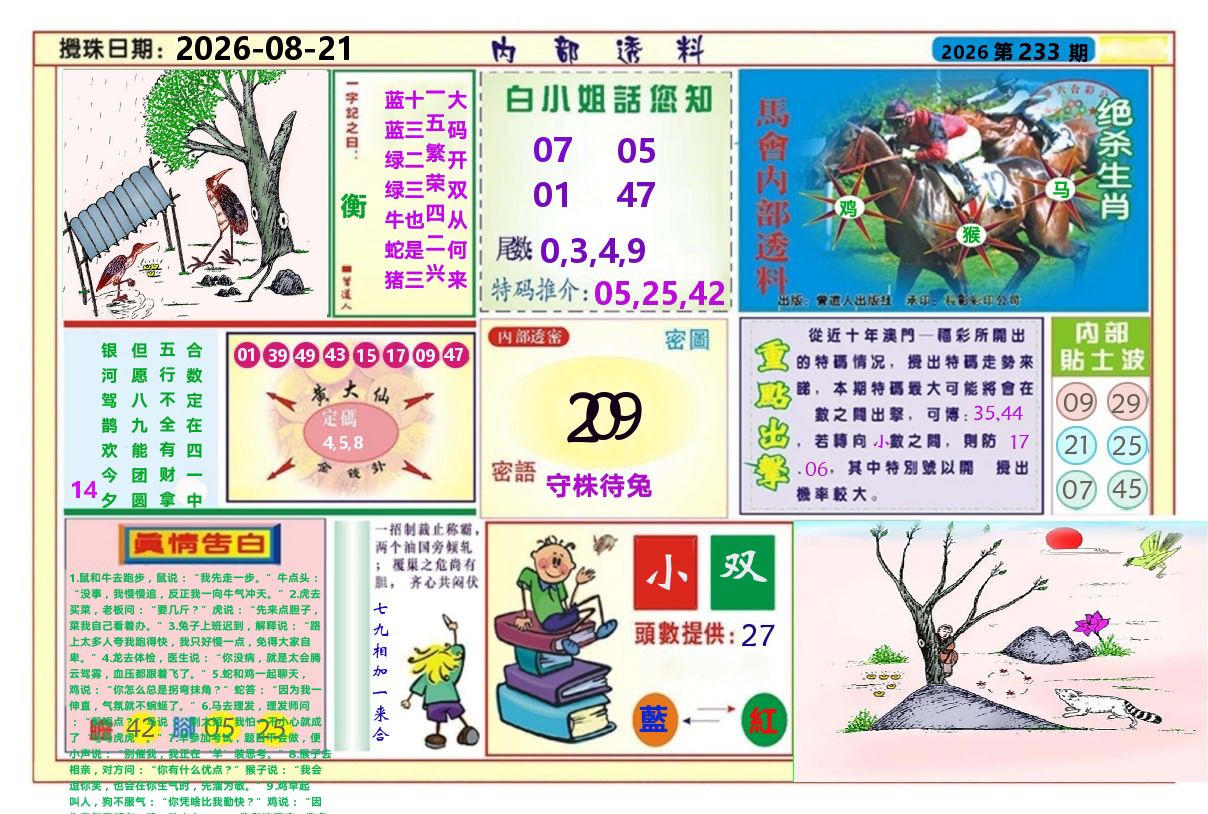 澳门内部透料A 第233期