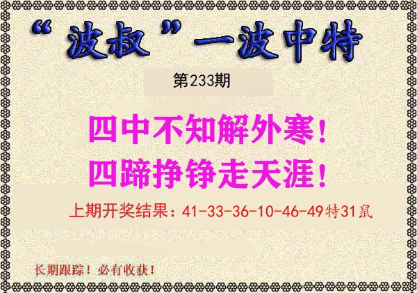 波叔中特 第233期