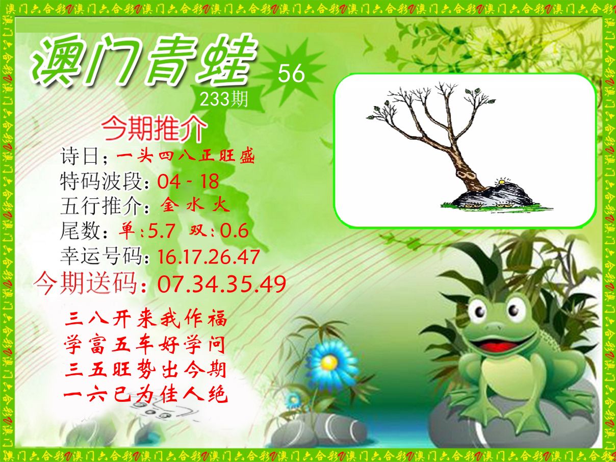 青蛙系列56 第233期