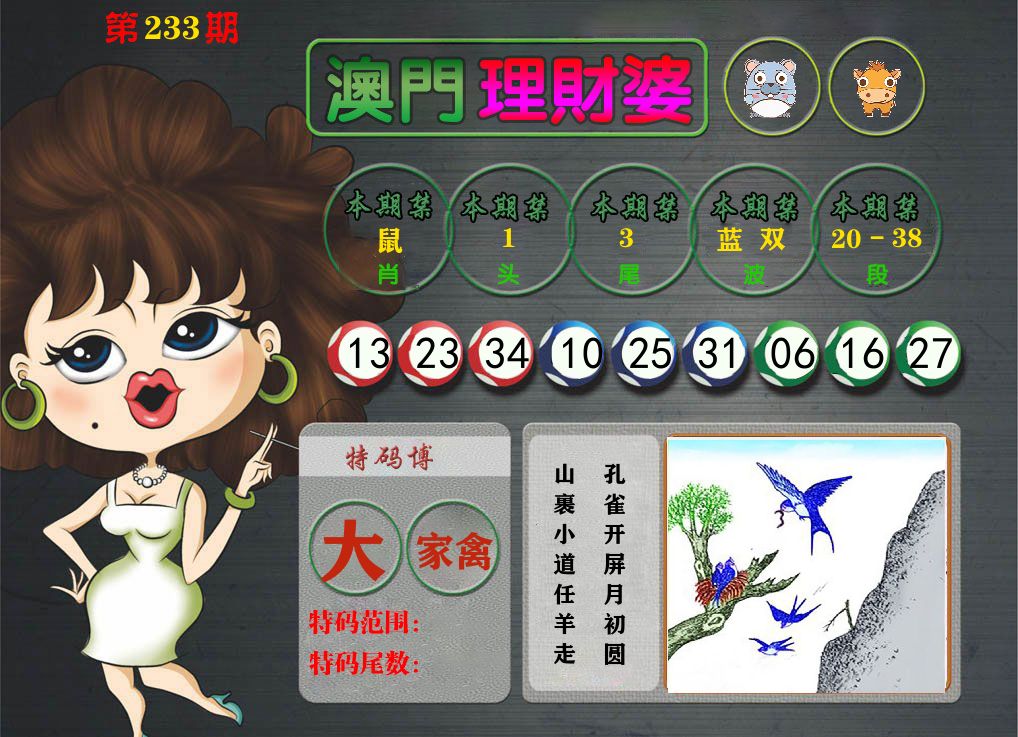 理财婆 第233期