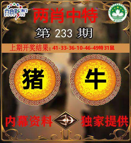 两肖中特 第233期