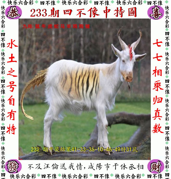 四不像 第233期