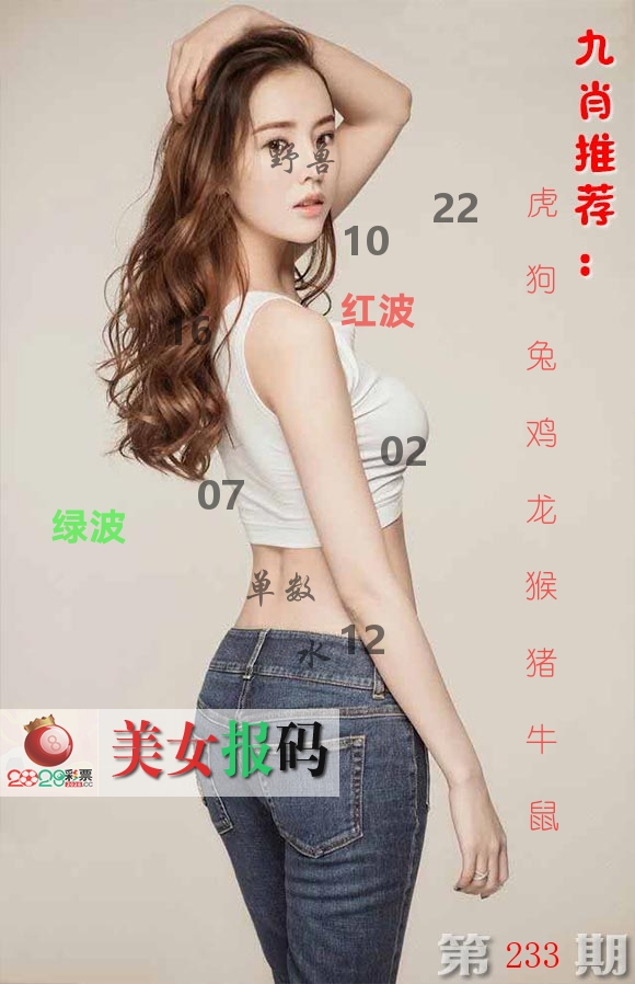 美女报码 第233期