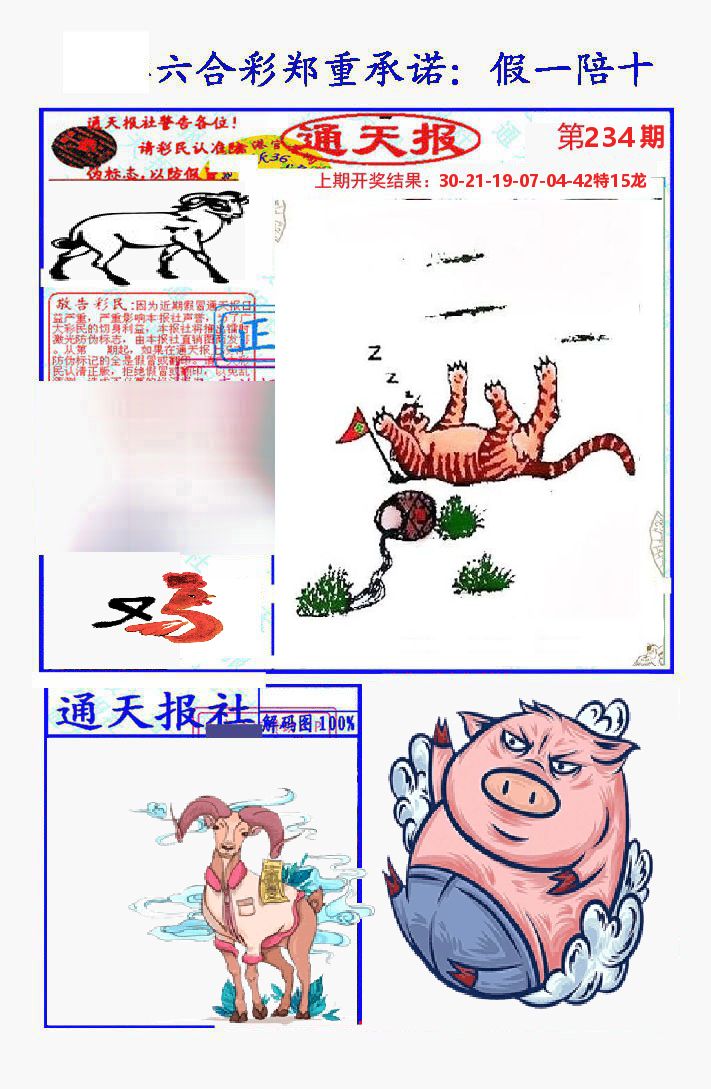通天报 第234期