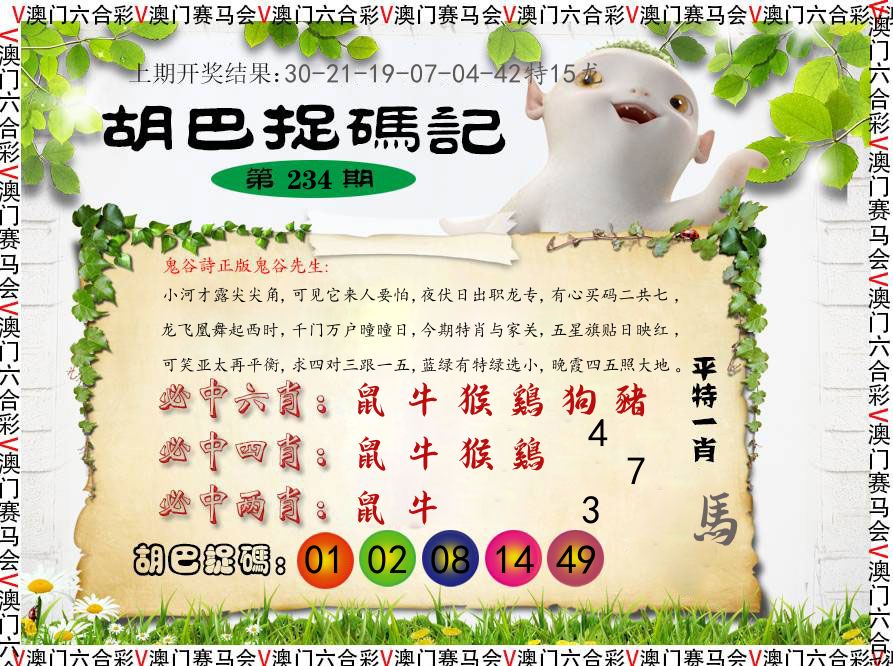 胡巴抓码记 第234期