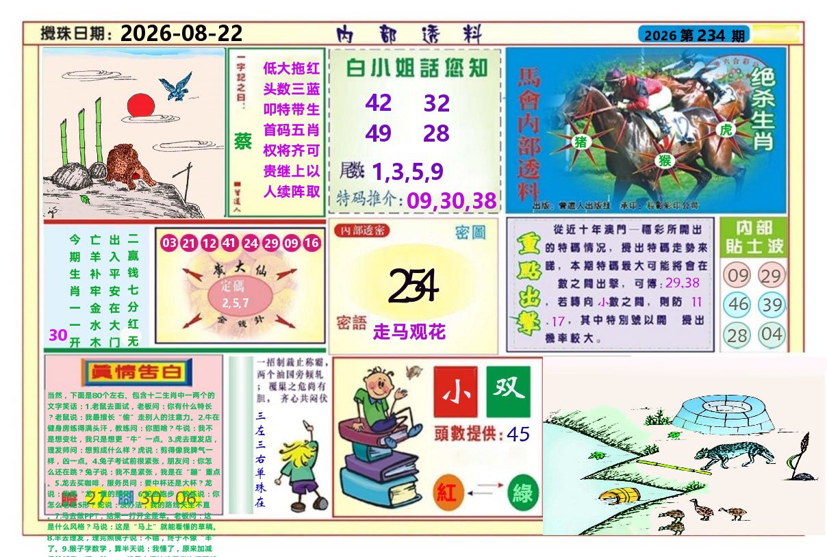 澳门内部透料A 第234期