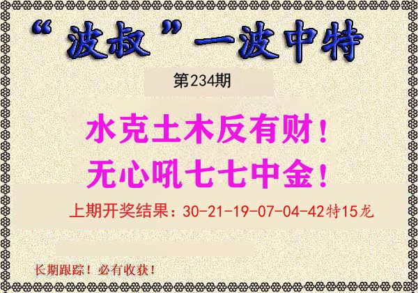 波叔中特 第234期