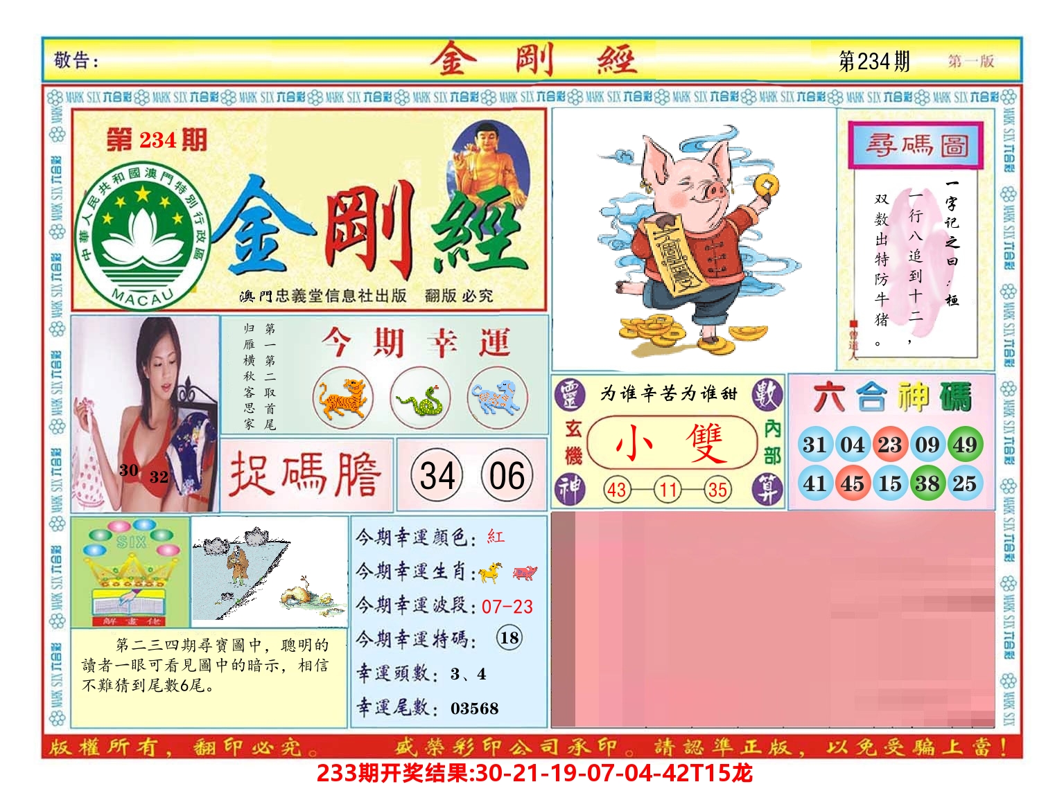 澳门金刚经 第234期