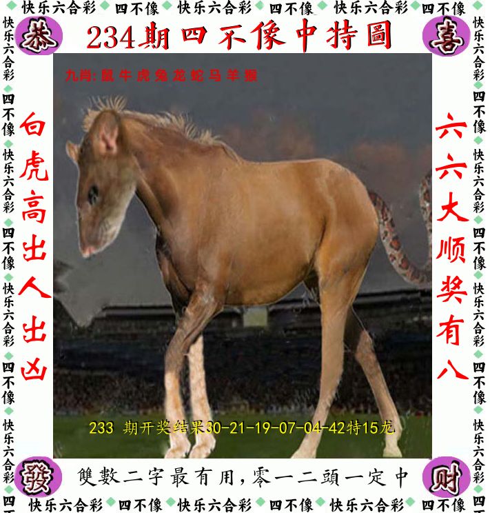 四不像 第234期