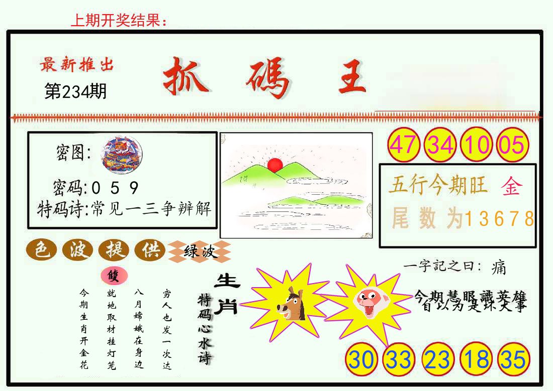 最新抓码王 第234期