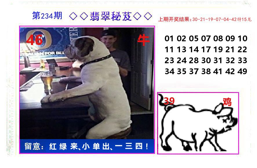 翡翠秘芨 第234期