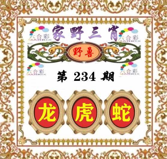 家野三肖 第234期