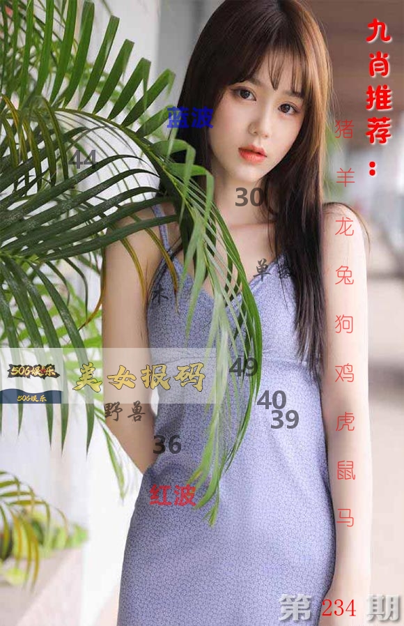 美女报码 第234期