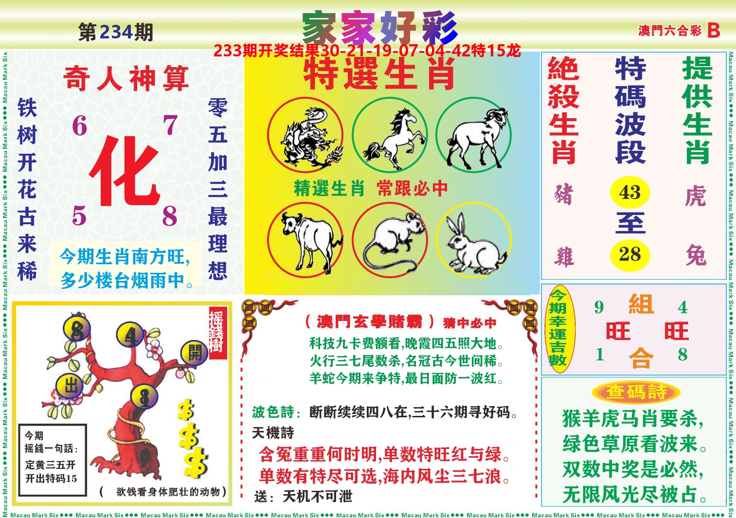 家家好彩B 第234期
