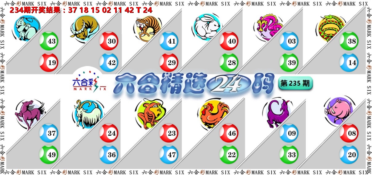 六合精选24码 第235期