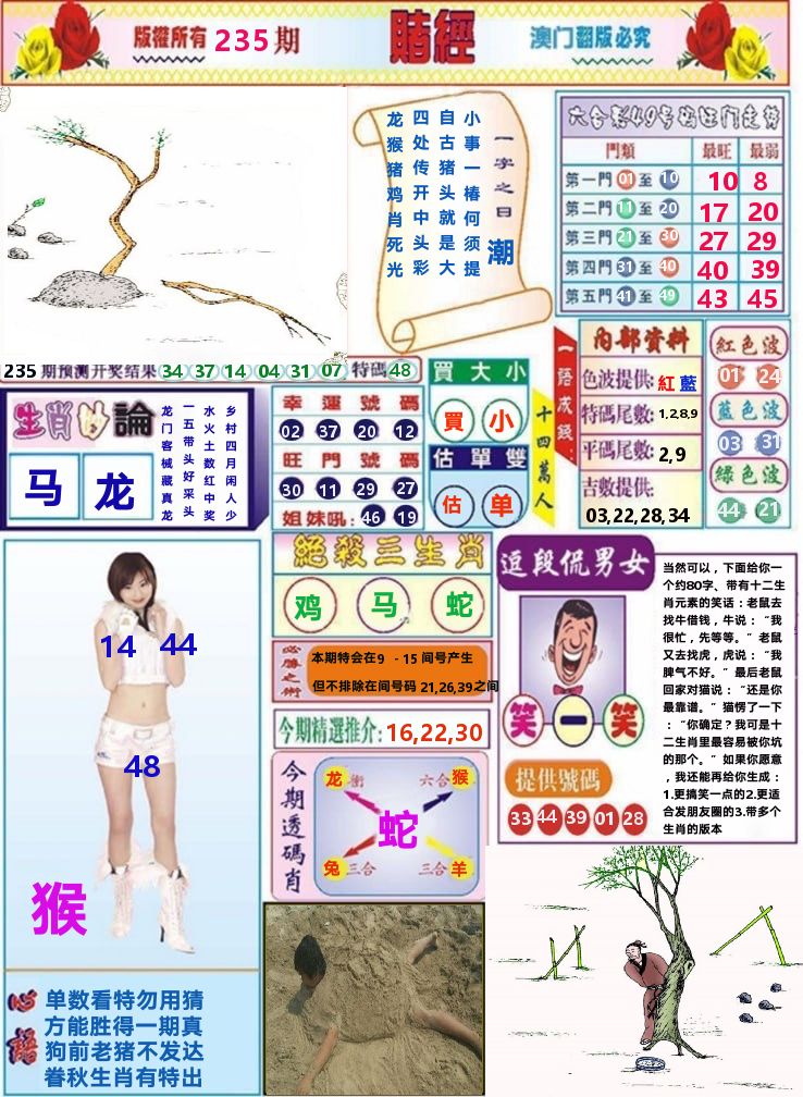 澳门赌经 第235期