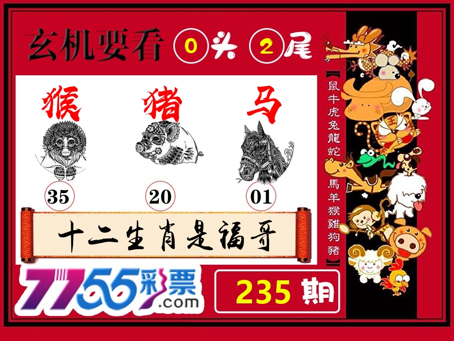 玄机要看 第235期