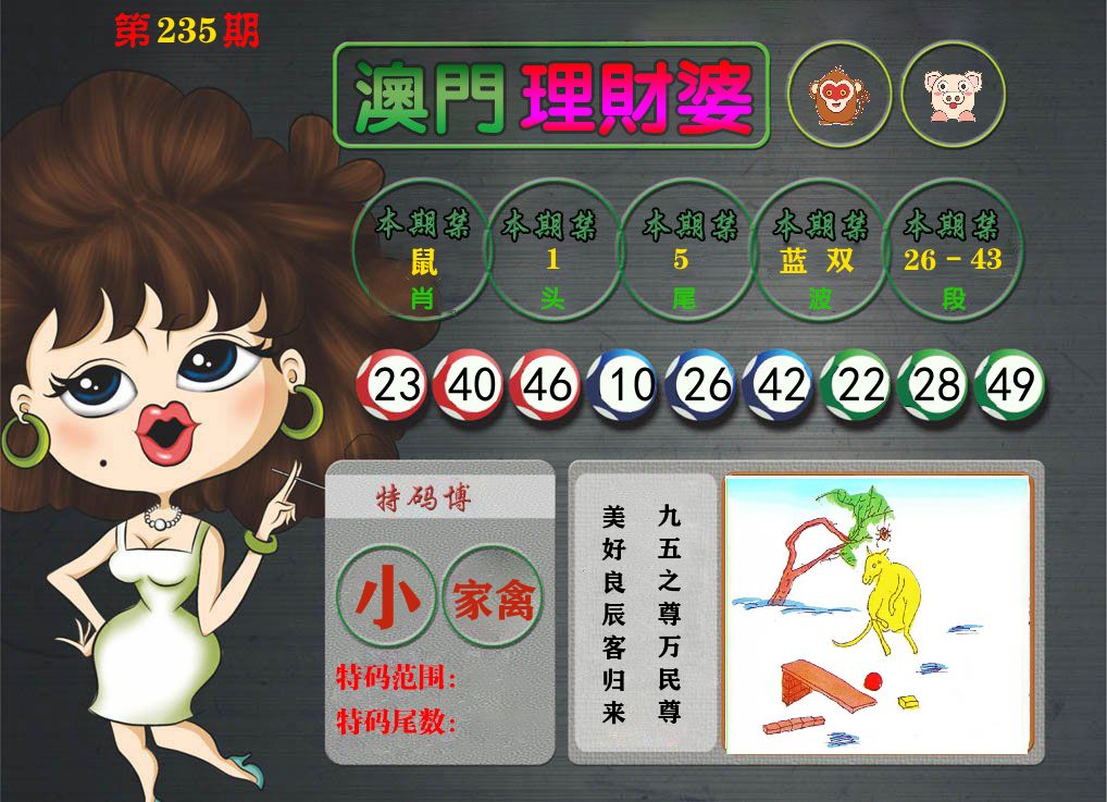 理财婆 第235期