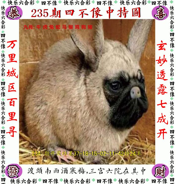 四不像 第235期