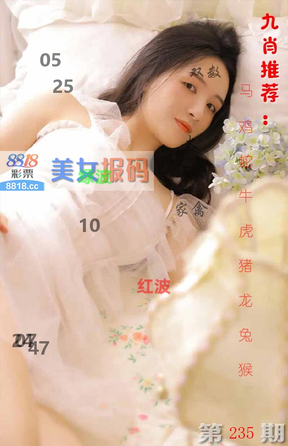 美女报码 第235期