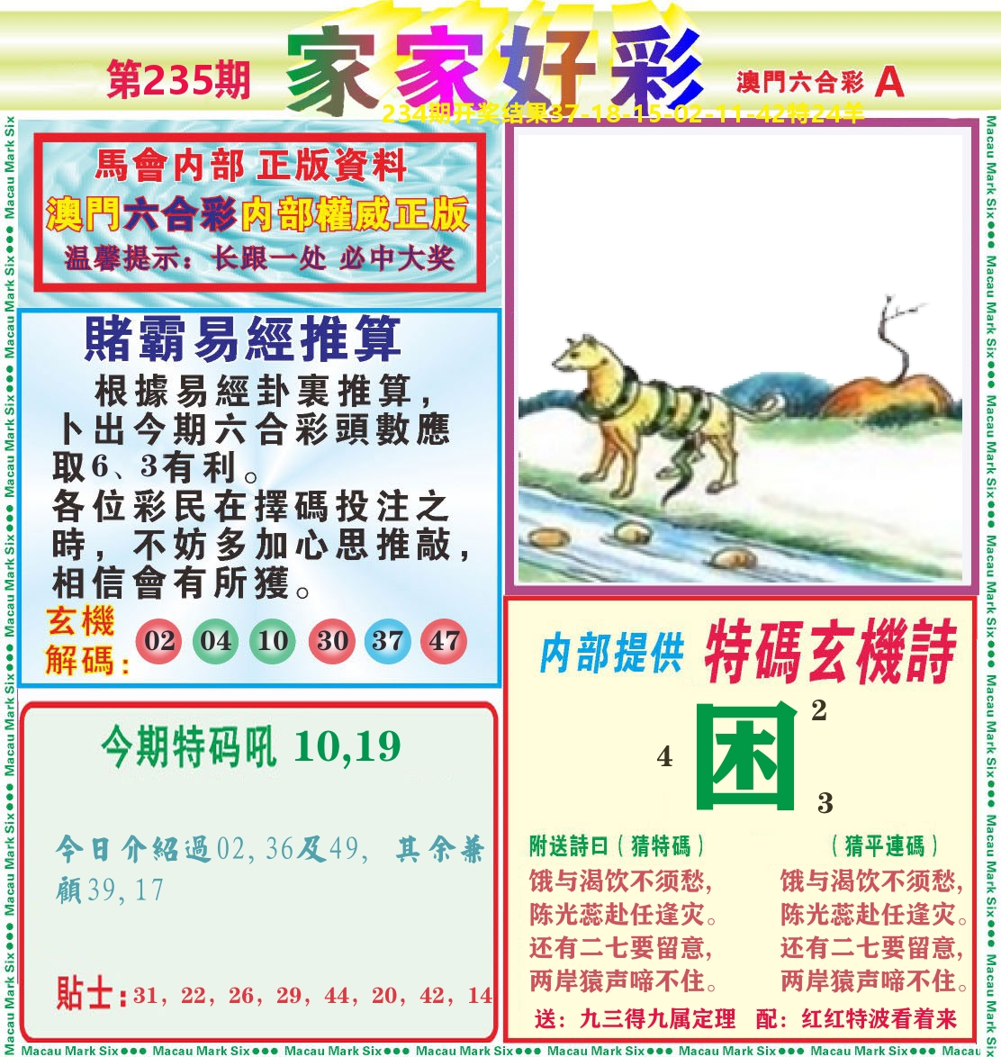 家家好彩A 第235期