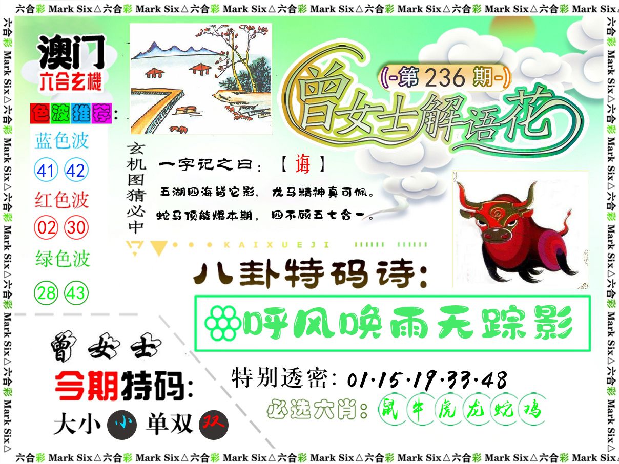 曾女士解语花 第236期