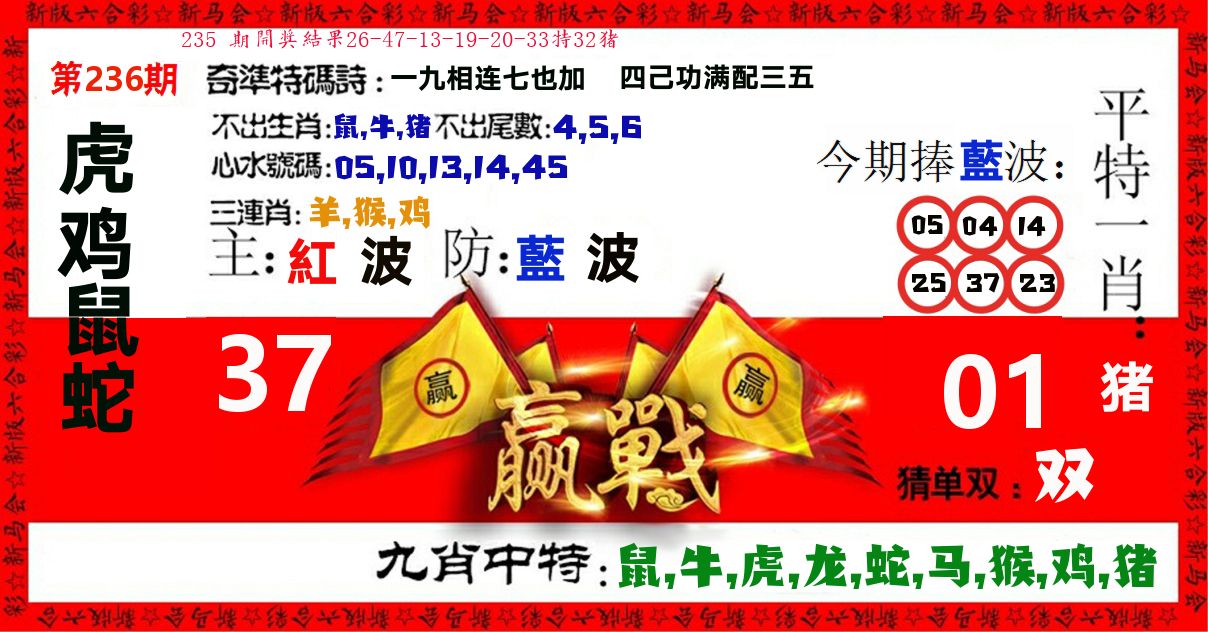 赢站 第236期